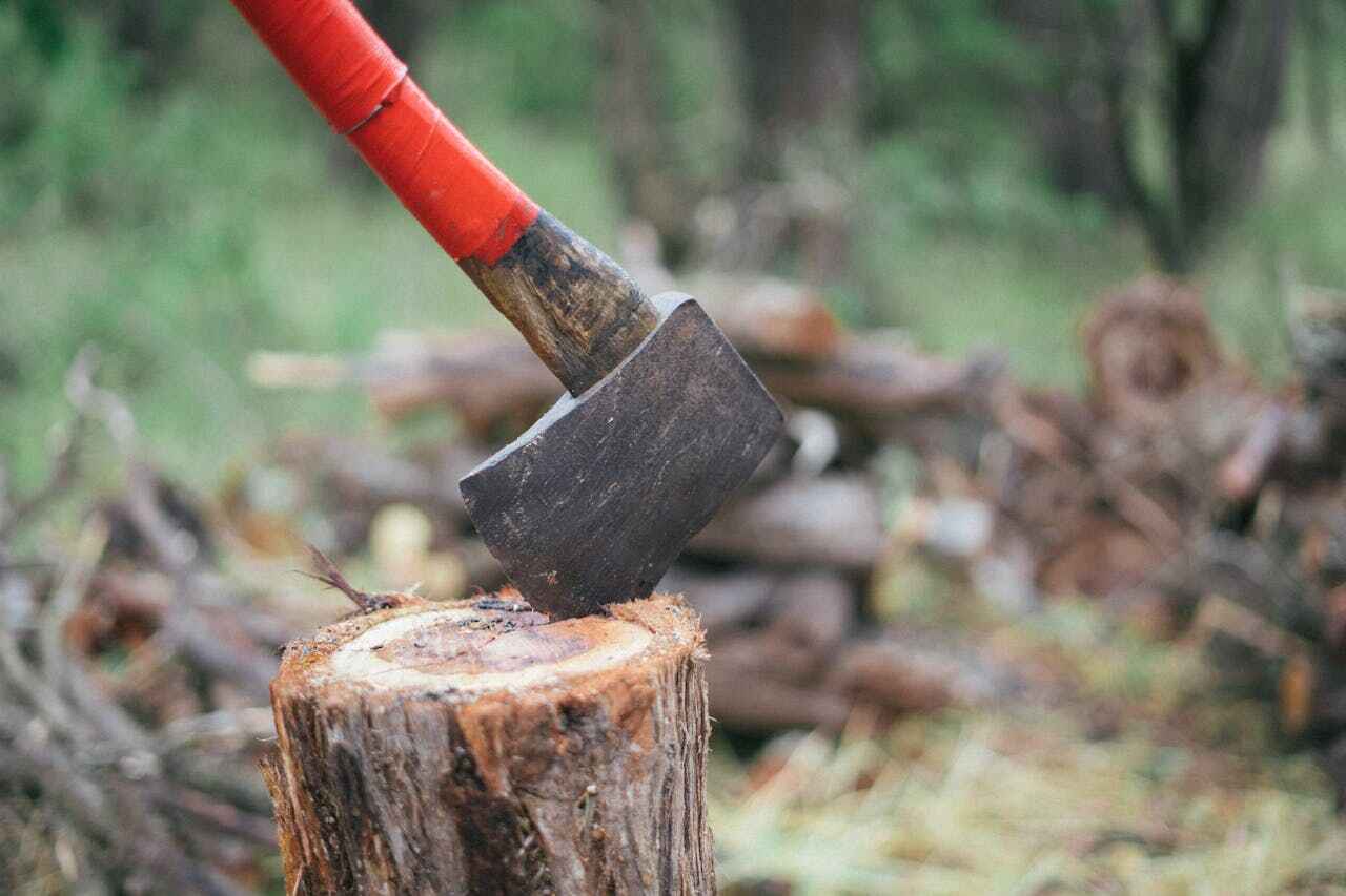 Residential Tree Removal in Holden, MO